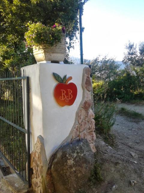 B&B Meladormo Tempio Pausania Buitenkant foto