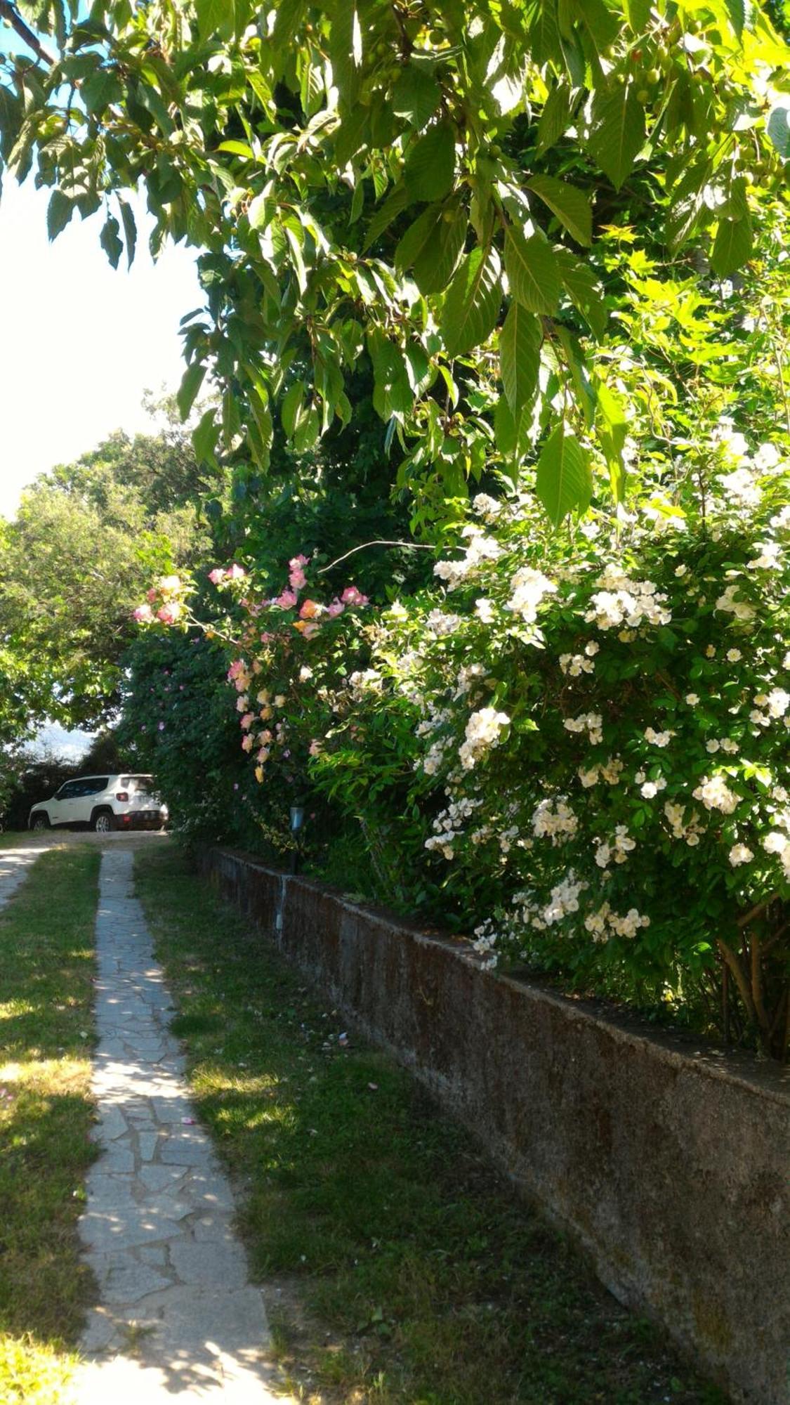B&B Meladormo Tempio Pausania Buitenkant foto
